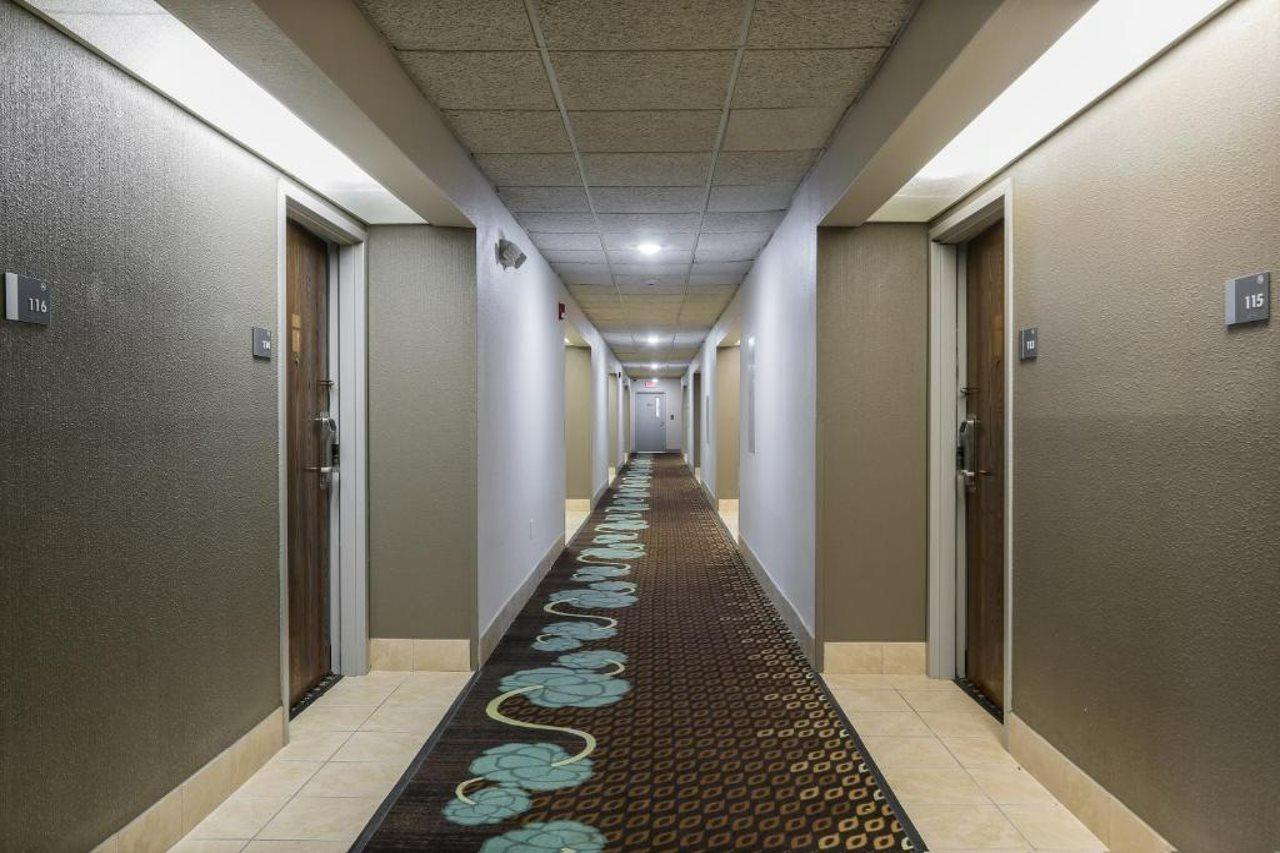 ניו באפלו Bliss Point Inn & Suites מראה חיצוני תמונה